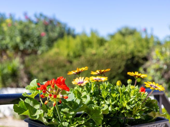 Image No.36-3 Bed Villa for sale