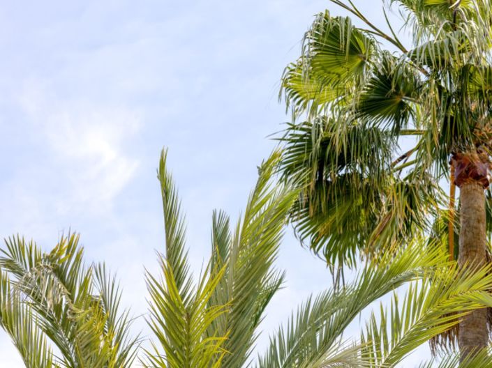 Image No.36-Villa de 5 chambres à vendre à Javea