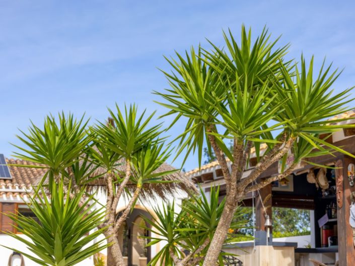 Image No.53-4 Bed Villa for sale