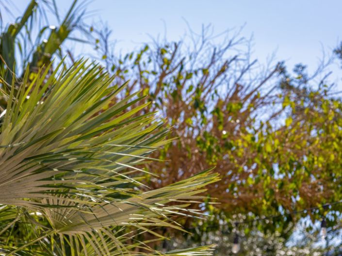 Image No.57-Villa de 4 chambres à vendre à Javea