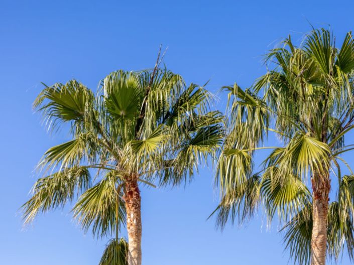 Image No.35-4 Bed Villa for sale