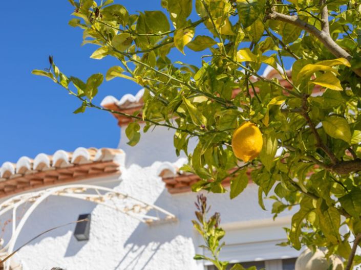 Image No.4-4 Bed Villa for sale