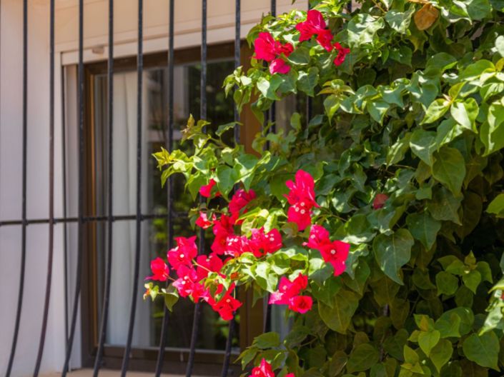 Image No.23-3 Bed House for sale