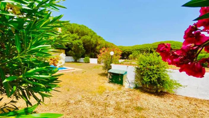 Image No.3-Villa / Détaché de 5 chambres à vendre à Chiclana de la Frontera