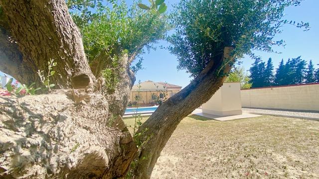 Image No.5-Villa / Détaché de 3 chambres à vendre à Chiclana de la Frontera