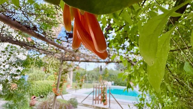 Image No.3-4 Bed Villa / Detached for sale