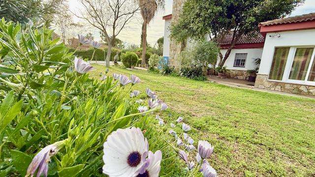 Image No.19-4 Bed Villa / Detached for sale