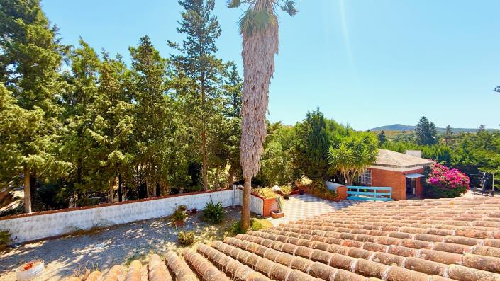 Image No.11-3 Bed Country House for sale