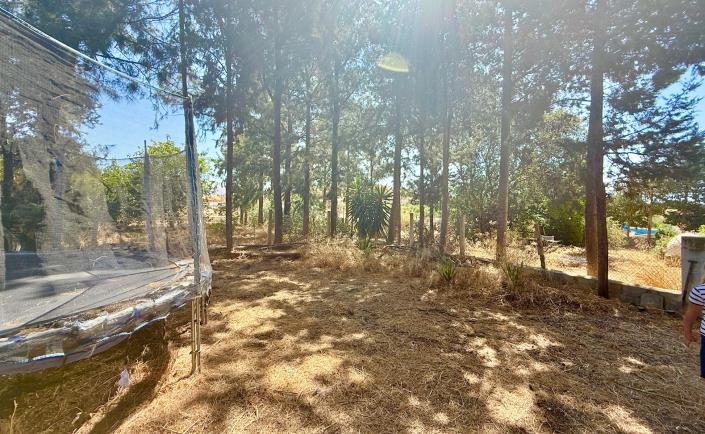 Image No.26-3 Bed Country House for sale