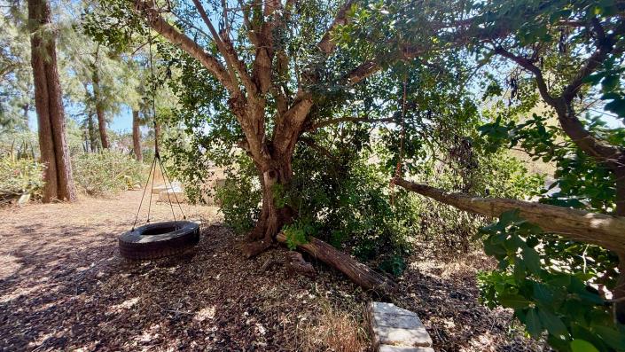 Image No.32-3 Bed Country House for sale