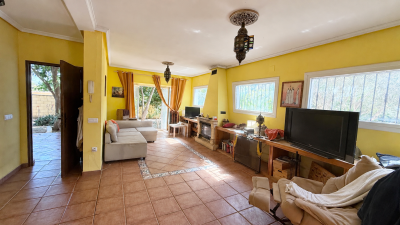 NEW-LOUNGE-NO-DOGS
