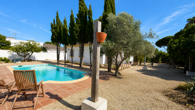 pool-and-chairs