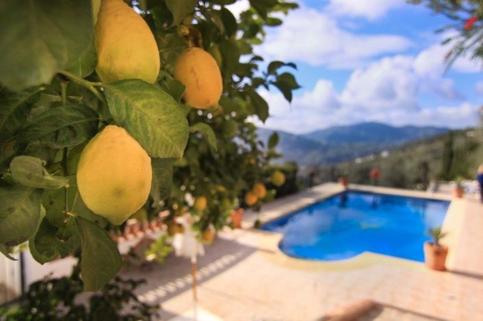 Image No.49-Propriété de 7 chambres à vendre à Frigiliana