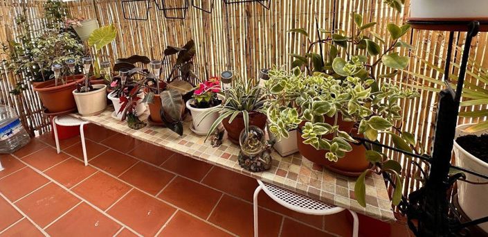 Image No.19-Propriété de 3 chambres à vendre à Nerja