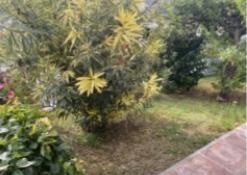 Image No.22-2 Bed Property for sale