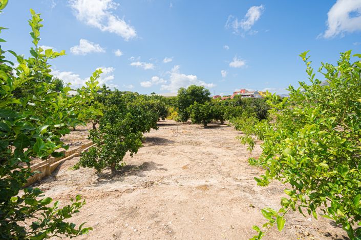 Image No.35-3 Bed Villa for sale