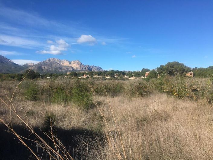 Image No.2-Finca de 1 chambre à vendre à L'Alfas del Pi
