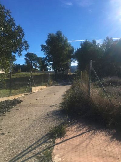 Image No.3-Finca de 1 chambre à vendre à L'Alfas del Pi