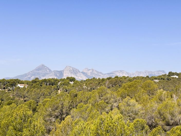 Image No.43-3 Bed Villa for sale