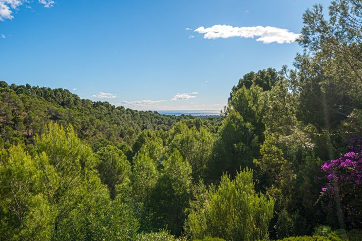 Image No.1-Plot for sale