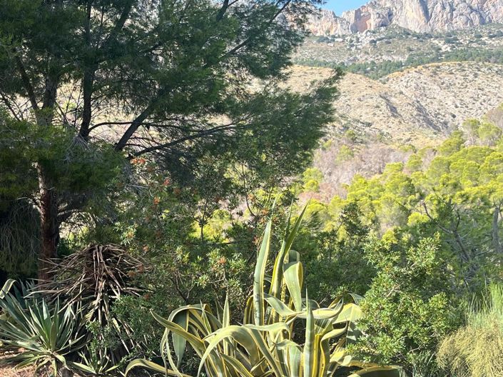 Image No.2-Plot for sale