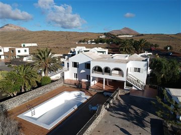 51663908