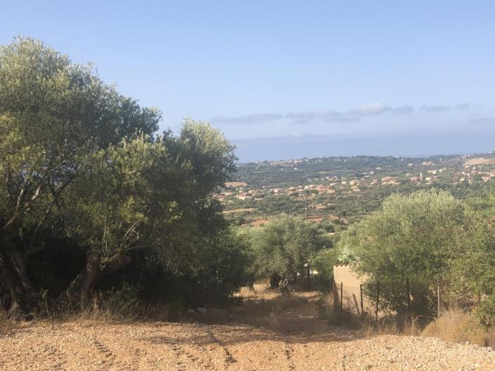 Image No.3-Plot for sale