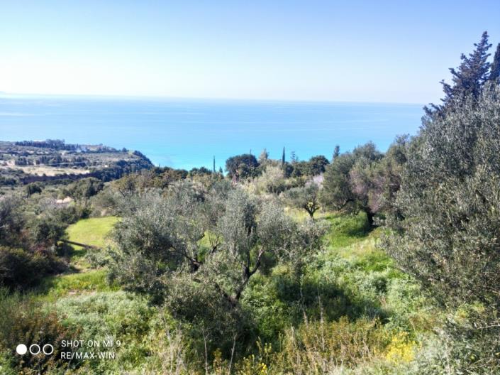 Image No.2-Plot for sale