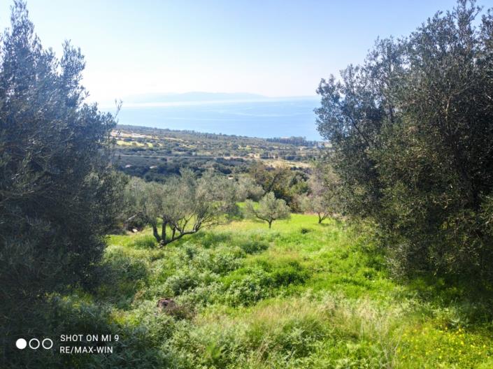 Image No.1-Plot for sale
