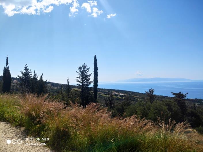 Image No.3-Plot for sale