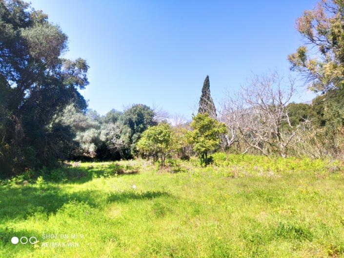 Image No.3-Plot for sale