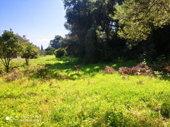 Image No.4-Plot for sale