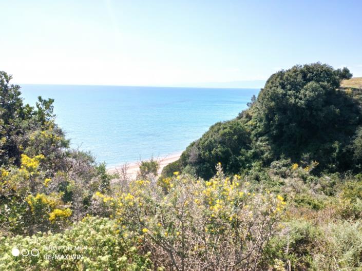 Image No.6-Land for sale