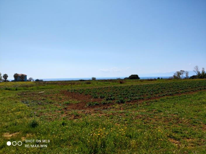 Image No.7-Land for sale