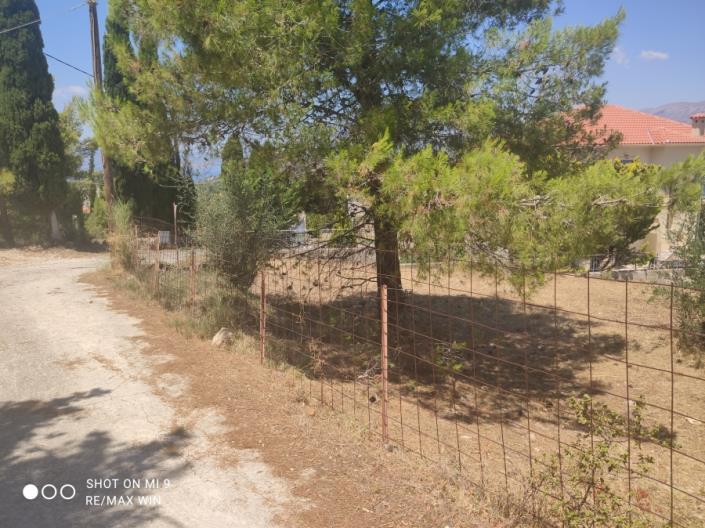 Image No.4-Plot for sale