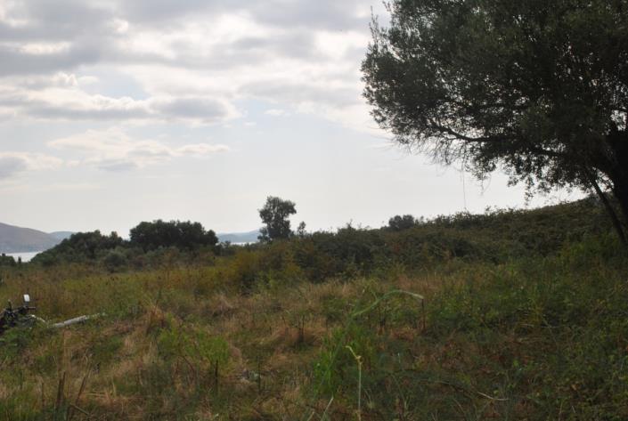 Image No.2-Plot for sale