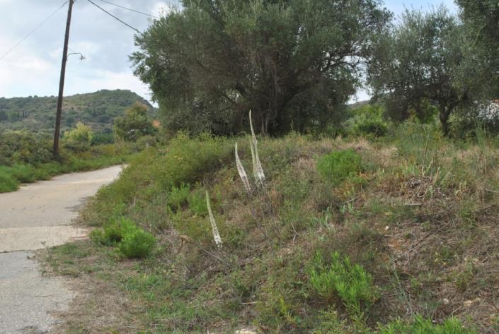 Image No.2-Plot for sale