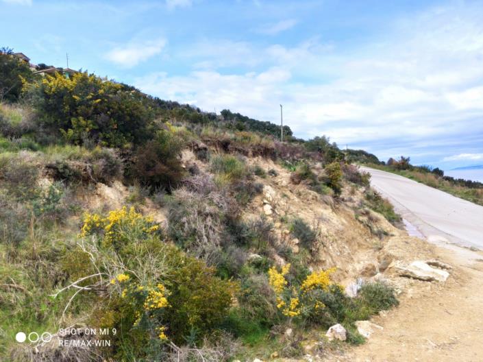 Image No.8-Land for sale