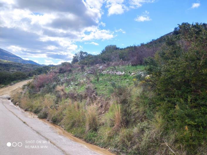 Image No.12-Land for sale