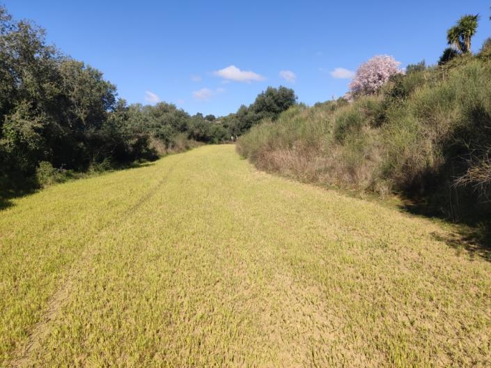 Image No.3-Land for sale