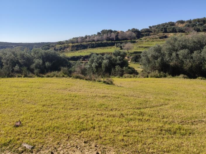 Image No.1-Land for sale