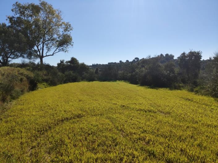 Image No.4-Land for sale