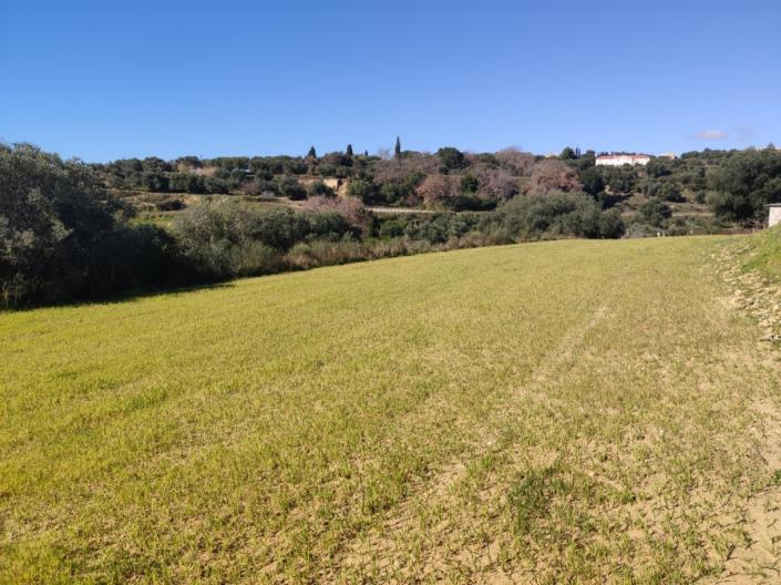 Image No.5-Land for sale