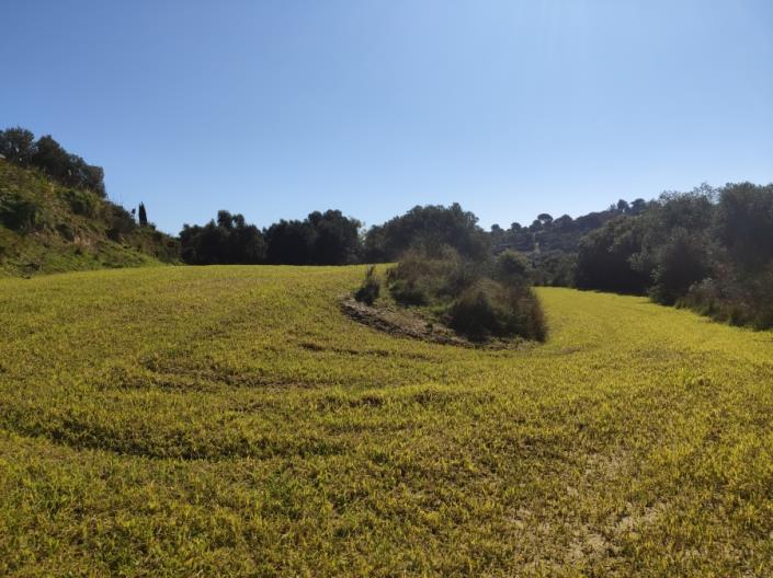 Image No.6-Land for sale