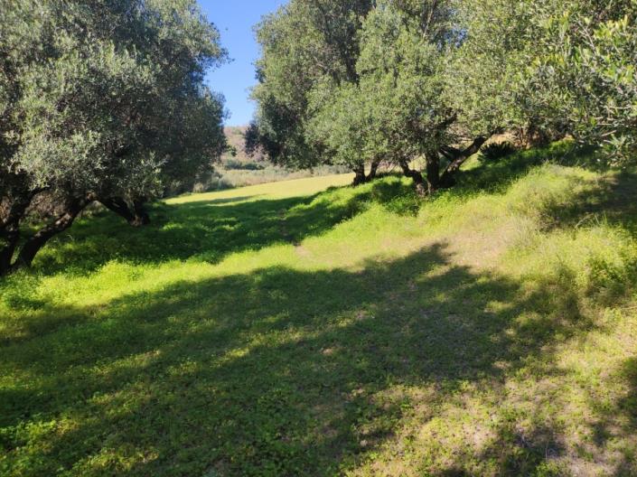 Image No.2-Land for sale