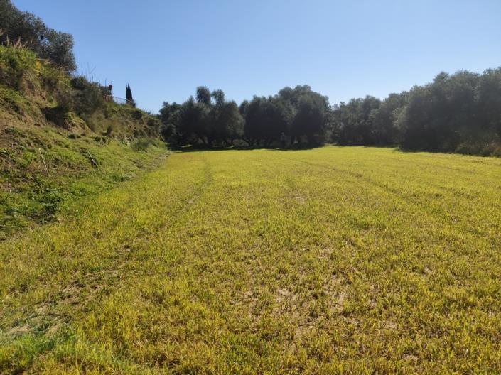 Image No.7-Land for sale