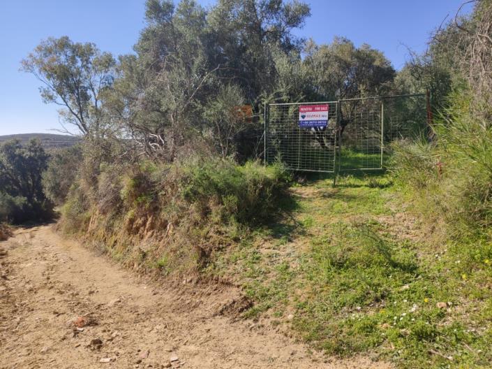 Image No.9-Land for sale