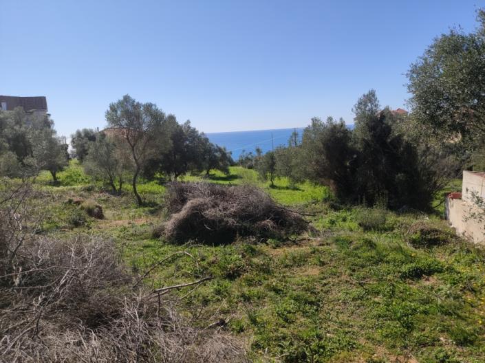 Image No.4-Plot for sale