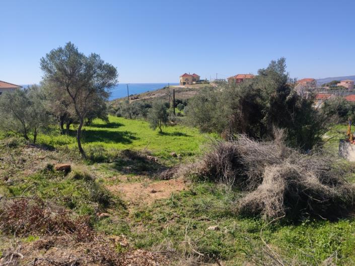 Image No.6-Plot for sale