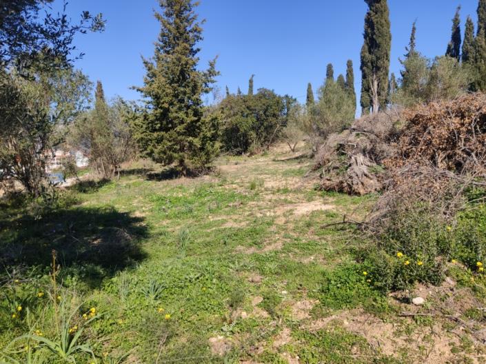 Image No.7-Plot for sale